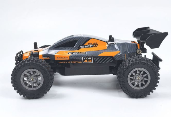 3147 ROOKIE-Fighter Buggy 1:18 2WD DF RTR